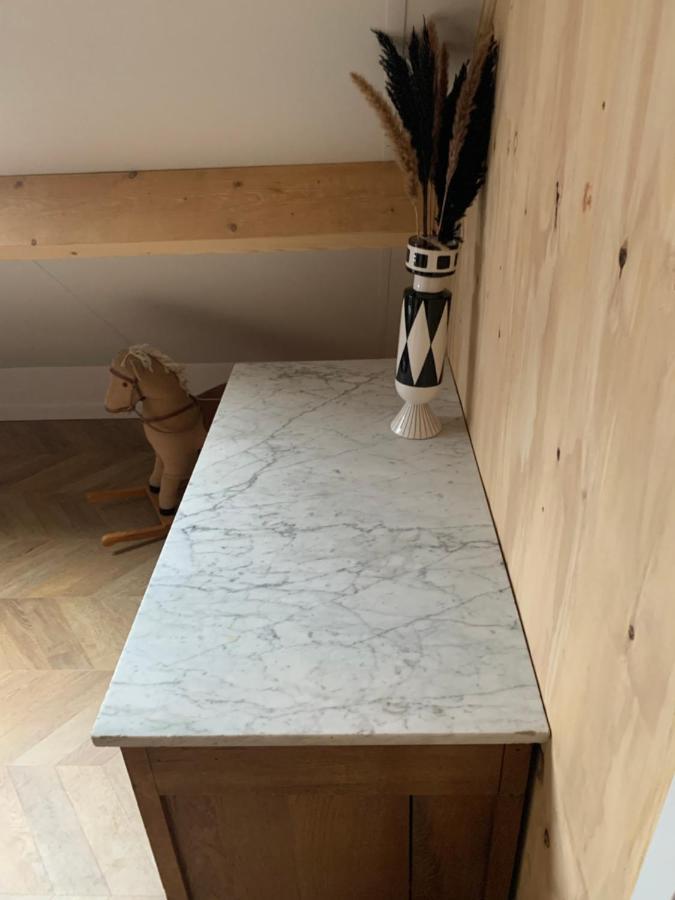 Tiny House Thuus Villa Sint Annaland Exteriör bild